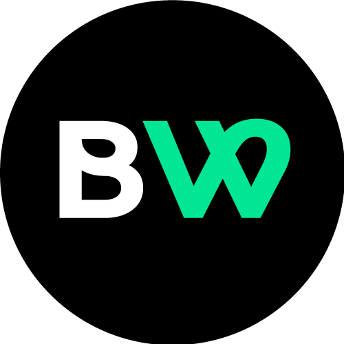 Brandweb India - Web Design Agency